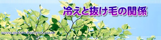 冷えと抜け毛の関係